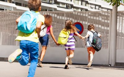AAEECO celebra una jornada especial de inicio del curso escolar 2026-2027 para analizar los programas y servicios educativos en Andalucía